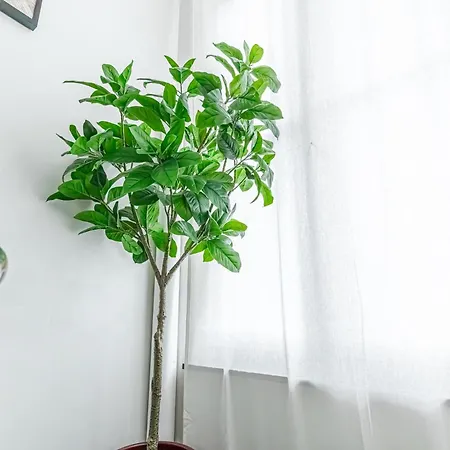 Apartament Lovely & Comfortable At Heart Of Gandawa
